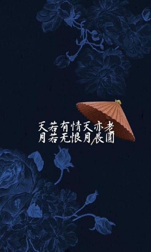 天若有情1背景音乐,天若有情1音乐旋律下的情感之旅