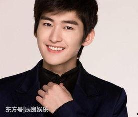 娱乐圈国民男神,闪耀星途的璀璨星辰